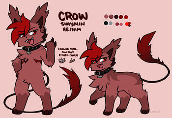+ one fullbody